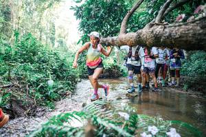 BIB: 
                            <button type="button" onclick="openModal(25469855)" class="btn btn-primary btn-sm float-right btn-popup" data-toggle="modal" data-target=".modal-high-quality">
                        <i class="fas fa-shopping-cart"></i> Add to Cart
                    </button>
                                            <button type="button" onclick="isThisMe(25469855, true)" class="btn btn-success btn-sm float-right btn-popup btn-isme hidden" data-toggle="tooltip" data-placement="bottom" title="นี่คือรูปของคุณใช่ไหม คลิกที่นี่เพื่อเอาเข้าอัลบั้ม">
                        <i class="fas fa-plus"></i> Add to album
                    </button>
                    <button type="button" onclick="isThisMe(25469855, false)" class="btn btn-warning btn-sm float-right btn-popup btn-isnotme hidden">
                        <i class="fas fa-ban"></i> Remove from album
                    </button>